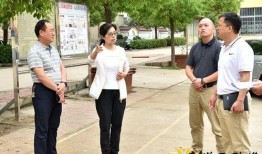 爆料官宣怎么拍视频教程,轻松上手，打造专业短视频